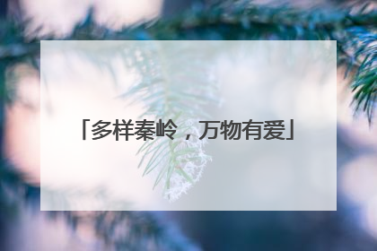 多样秦岭，万物有爱