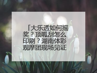 大乐透如何摇奖？顶呱刮怎么印刷？湖南体彩观摩团现场见证“阳光开奖”