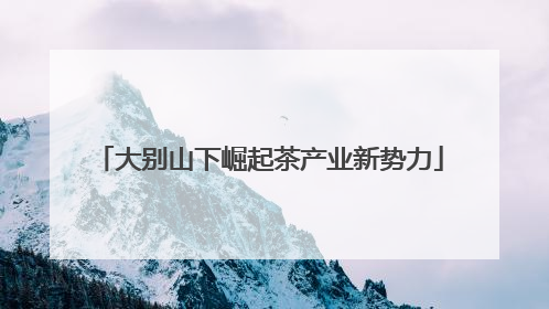 大别山下崛起茶产业新势力