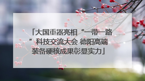 大国重器亮相“一带一路”科技交流大会 德阳高端装备硬核成果彰显实力