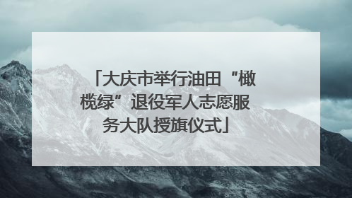 大庆市举行油田“橄榄绿”退役军人志愿服务大队授旗仪式