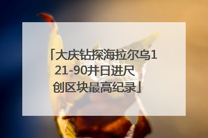 大庆钻探海拉尔乌121-90井日进尺 创区块最高纪录