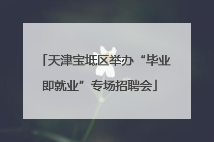 天津宝坻区举办“毕业即就业”专场招聘会