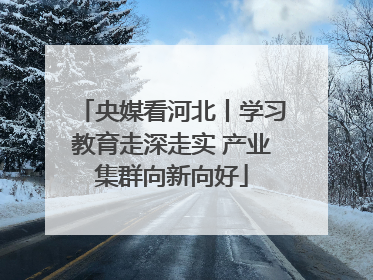 央媒看河北丨学习教育走深走实 产业集群向新向好