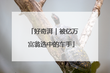 好奇湃｜被亿万富翁选中的车手