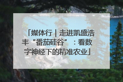 媒体行｜走进凯盛浩丰“番茄硅谷”：看数字神经下的精准农业