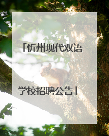 忻州现代双语学校招聘公告