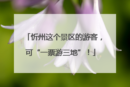 忻州这个景区的游客，可“一票游三地”！