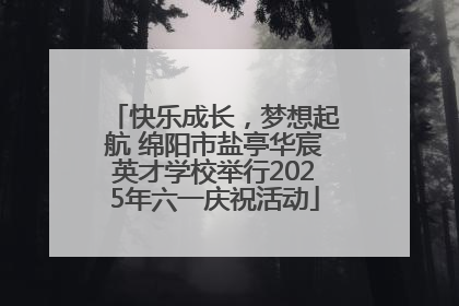 快乐成长，梦想起航 绵阳市盐亭华宸英才学校举行2025年六一庆祝活动