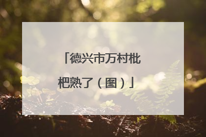 德兴市万村枇杷熟了（图）