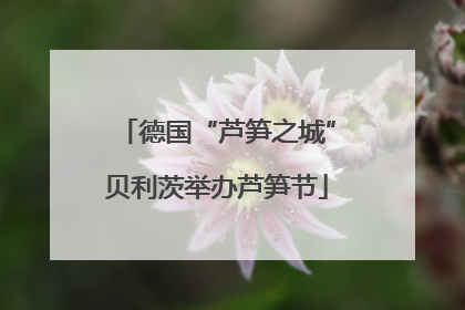 德国“芦笋之城”贝利茨举办芦笋节