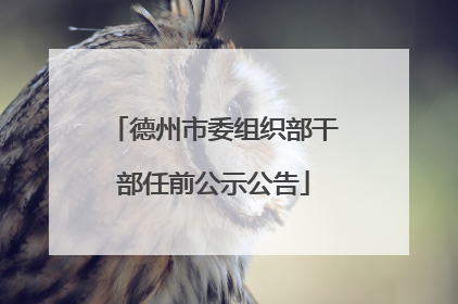 德州市委组织部干部任前公示公告