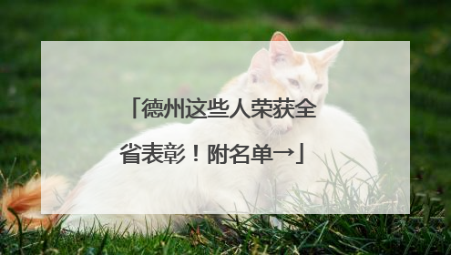 德州这些人荣获全省表彰！附名单→