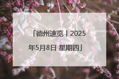德州速览丨2025年5月8日 星期四