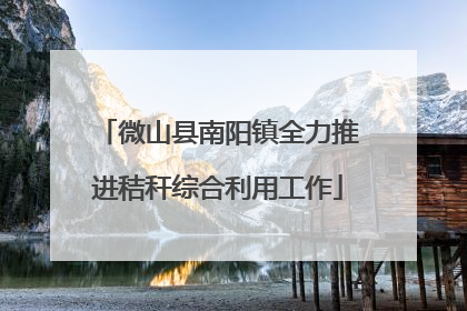微山县南阳镇全力推进秸秆综合利用工作