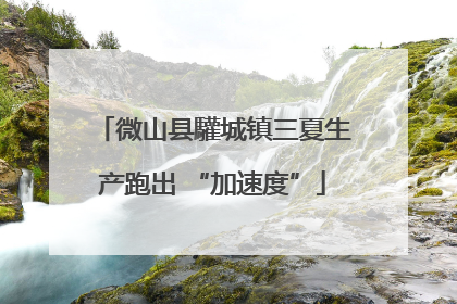 微山县驩城镇三夏生产跑出 “加速度”