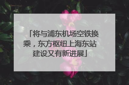 将与浦东机场空铁换乘，东方枢纽上海东站建设又有新进展