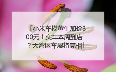 小米车模黄牛加价300元！实车本周到店？大湾区车展将亮相