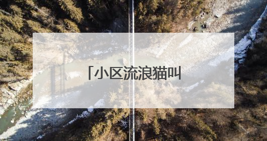 小区流浪猫叫声不断？民情快办出招啦！