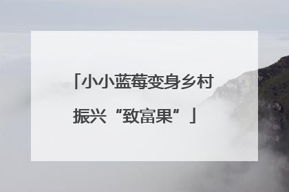 小小蓝莓变身乡村振兴“致富果”