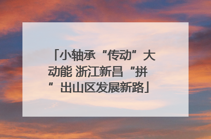 小轴承“传动”大动能 浙江新昌“拼”出山区发展新路