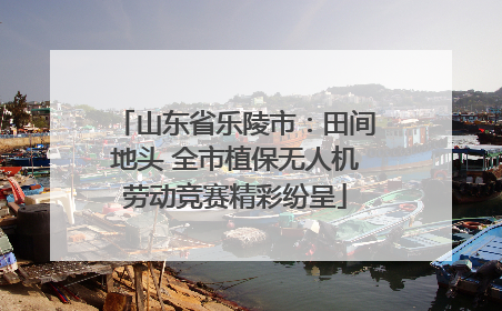 山东省乐陵市：田间地头 全市植保无人机劳动竞赛精彩纷呈