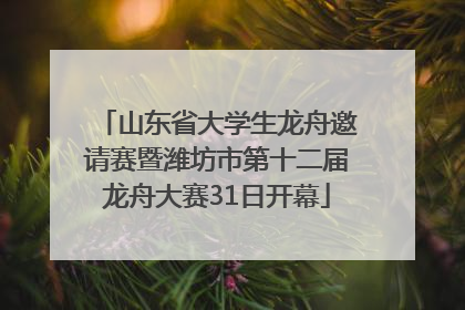 山东省大学生龙舟邀请赛暨潍坊市第十二届龙舟大赛31日开幕