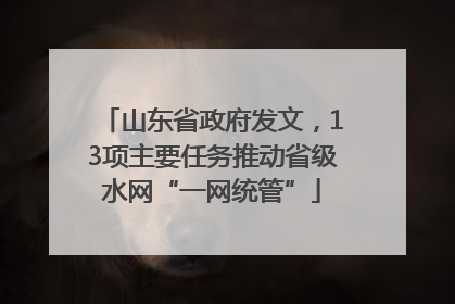山东省政府发文，13项主要任务推动省级水网“一网统管”