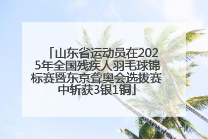 山东省运动员在2025年全国残疾人羽毛球锦标赛暨东京聋奥会选拔赛中斩获3银1铜