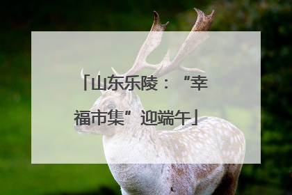山东乐陵：“幸福市集”迎端午