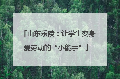 山东乐陵：让学生变身爱劳动的“小能手”
