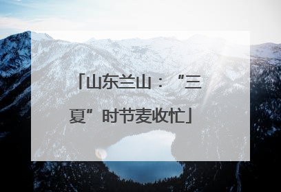 山东兰山：“三夏”时节麦收忙