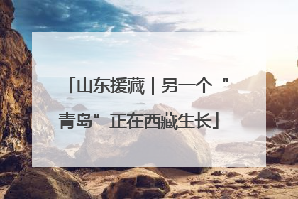 山东援藏｜另一个“青岛”正在西藏生长