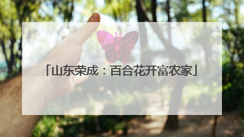 山东荣成：百合花开富农家