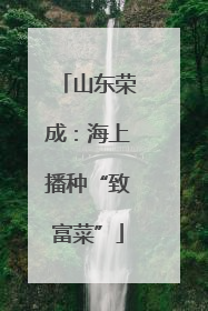 山东荣成：海上播种“致富菜”