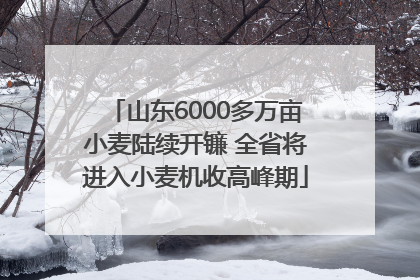 山东6000多万亩小麦陆续开镰 全省将进入小麦机收高峰期