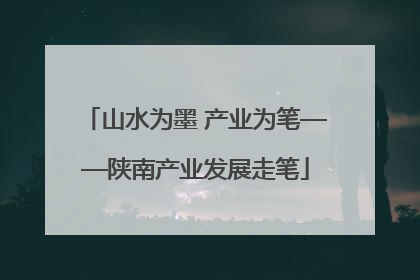 山水为墨 产业为笔——陕南产业发展走笔