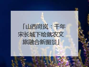 山西岢岚：千年宋长城下绘就农文旅融合新图景