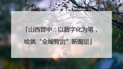山西晋中：以数字化为笔，绘就“全域智治”新图景