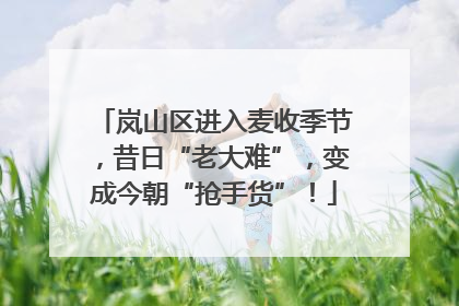 岚山区进入麦收季节，昔日“老大难”，变成今朝“抢手货”！