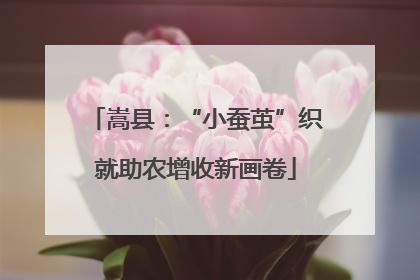 嵩县：“小蚕茧”织就助农增收新画卷