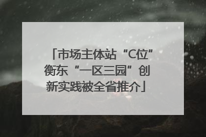 市场主体站“C位” 衡东“一区三园”创新实践被全省推介