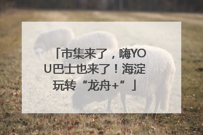 市集来了，嗨YOU巴士也来了！海淀玩转“龙舟+”