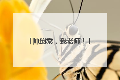帅蜀黍，我老师！
