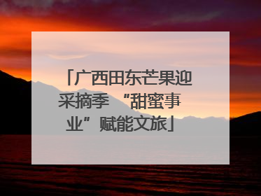广西田东芒果迎采摘季 “甜蜜事业”赋能文旅