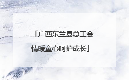 广西东兰县总工会情暖童心呵护成长