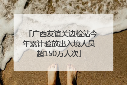 广西友谊关边检站今年累计验放出入境人员超150万人次