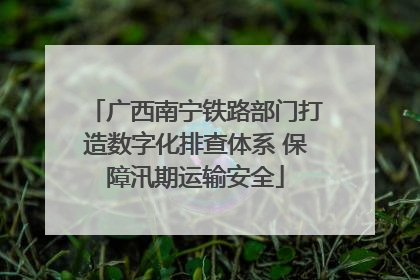 广西南宁铁路部门打造数字化排查体系 保障汛期运输安全
