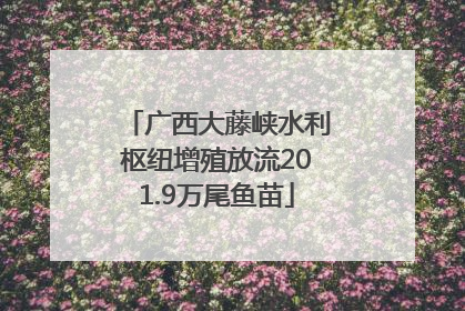 广西大藤峡水利枢纽增殖放流201.9万尾鱼苗