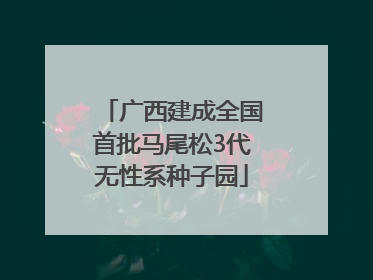 广西建成全国首批马尾松3代无性系种子园